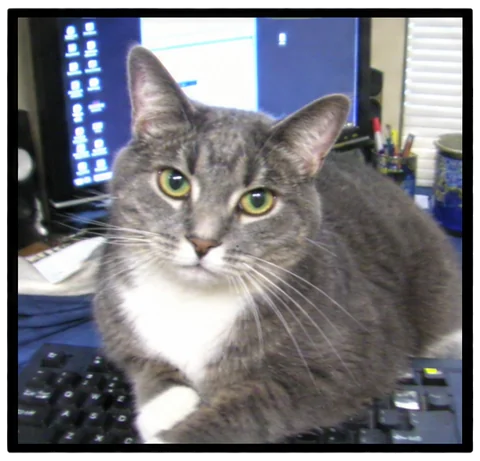 kittylover2009's webcam photo